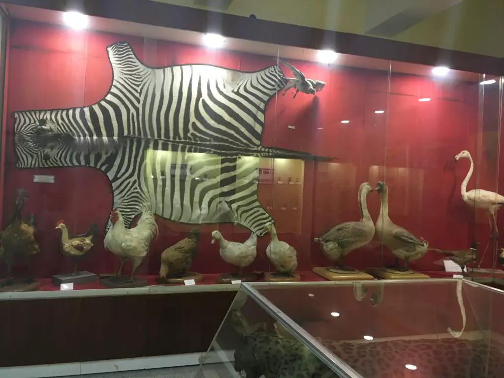 Izmir Natural History Museum